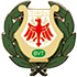 Funktionärsabzeichen in Grün