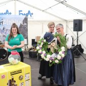 Maibaumfest