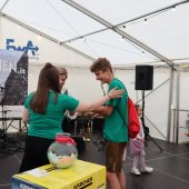 Maibaumfest